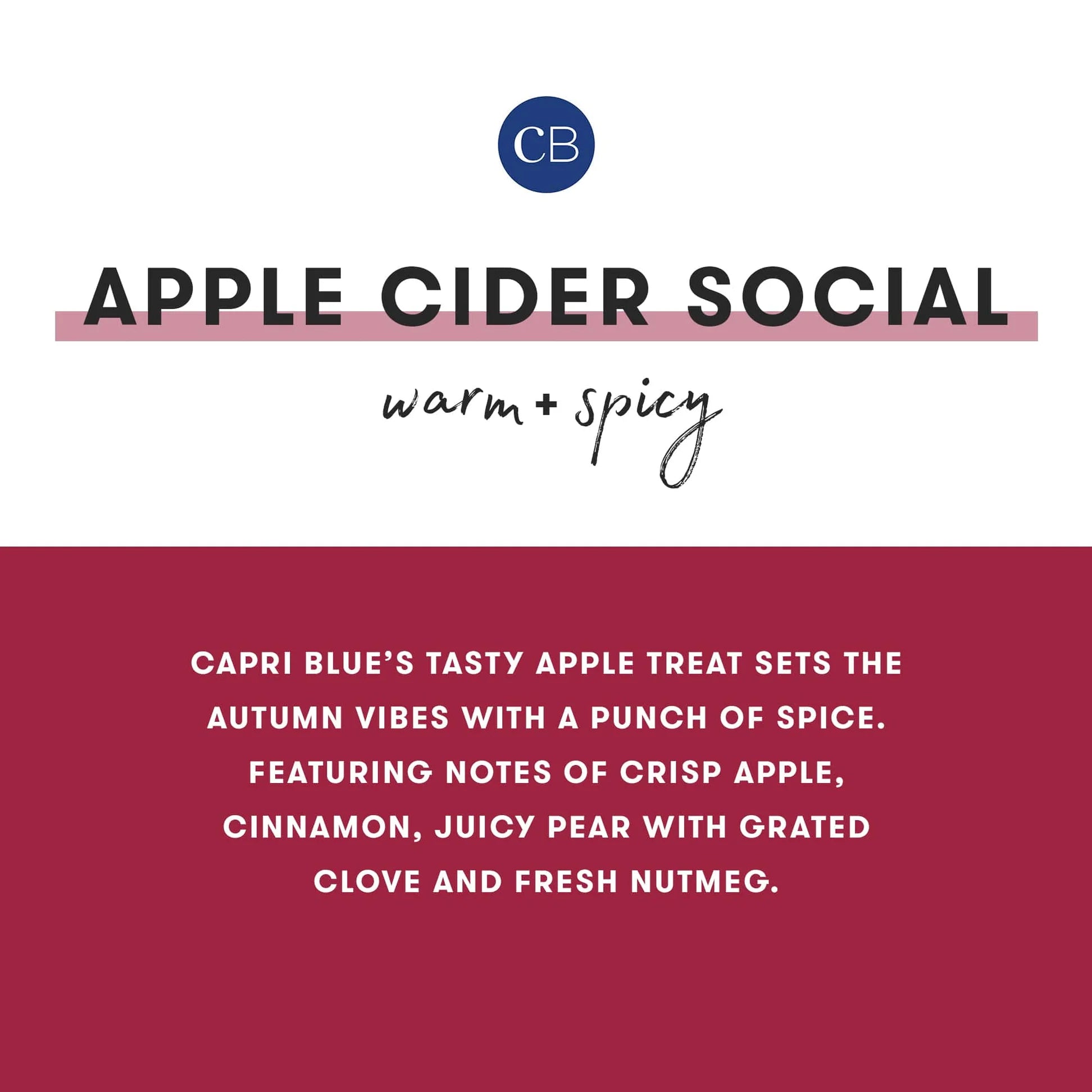 Capri Blue Apple Cider Social Mercury Holiday Inverted Candle