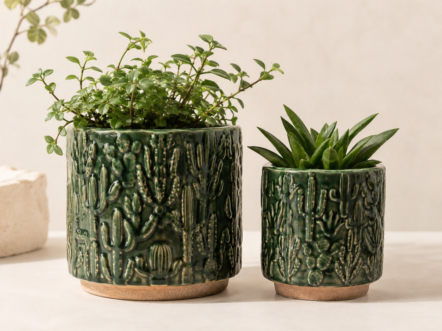 Textured Cactus Planter