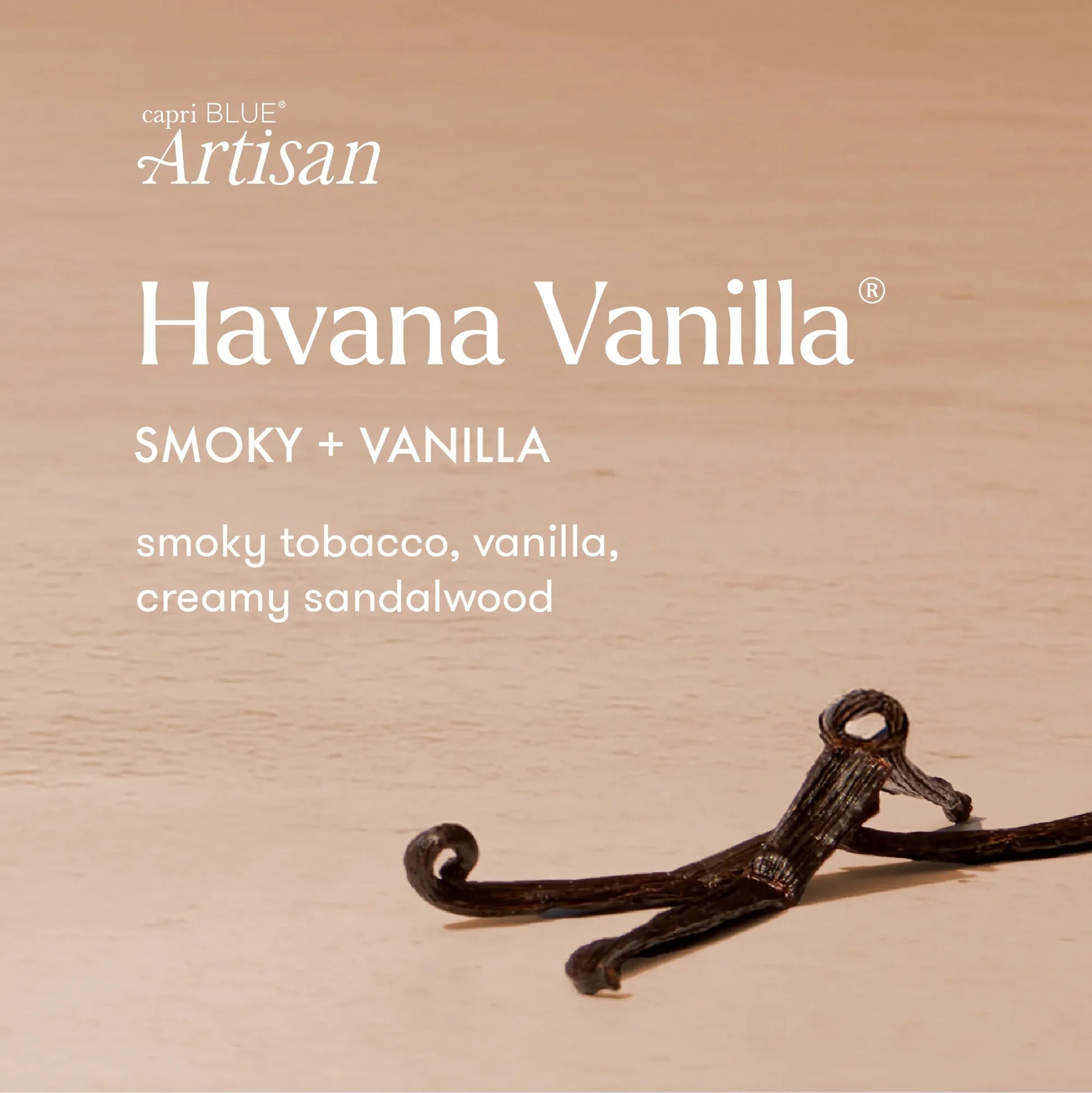 Capri Blue Havana Vanilla Terrazza Velluto Petite Candle