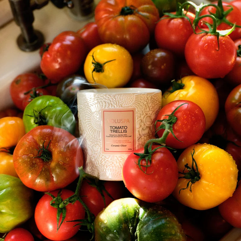 Voluspa Tomato Trellis Ceramic Luxe Classic Candle – 12 oz