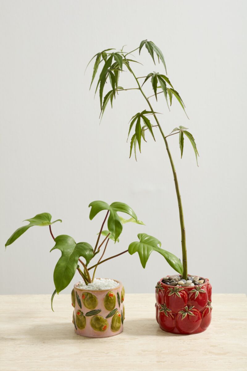 The Dolce Vita Ceramic Planter