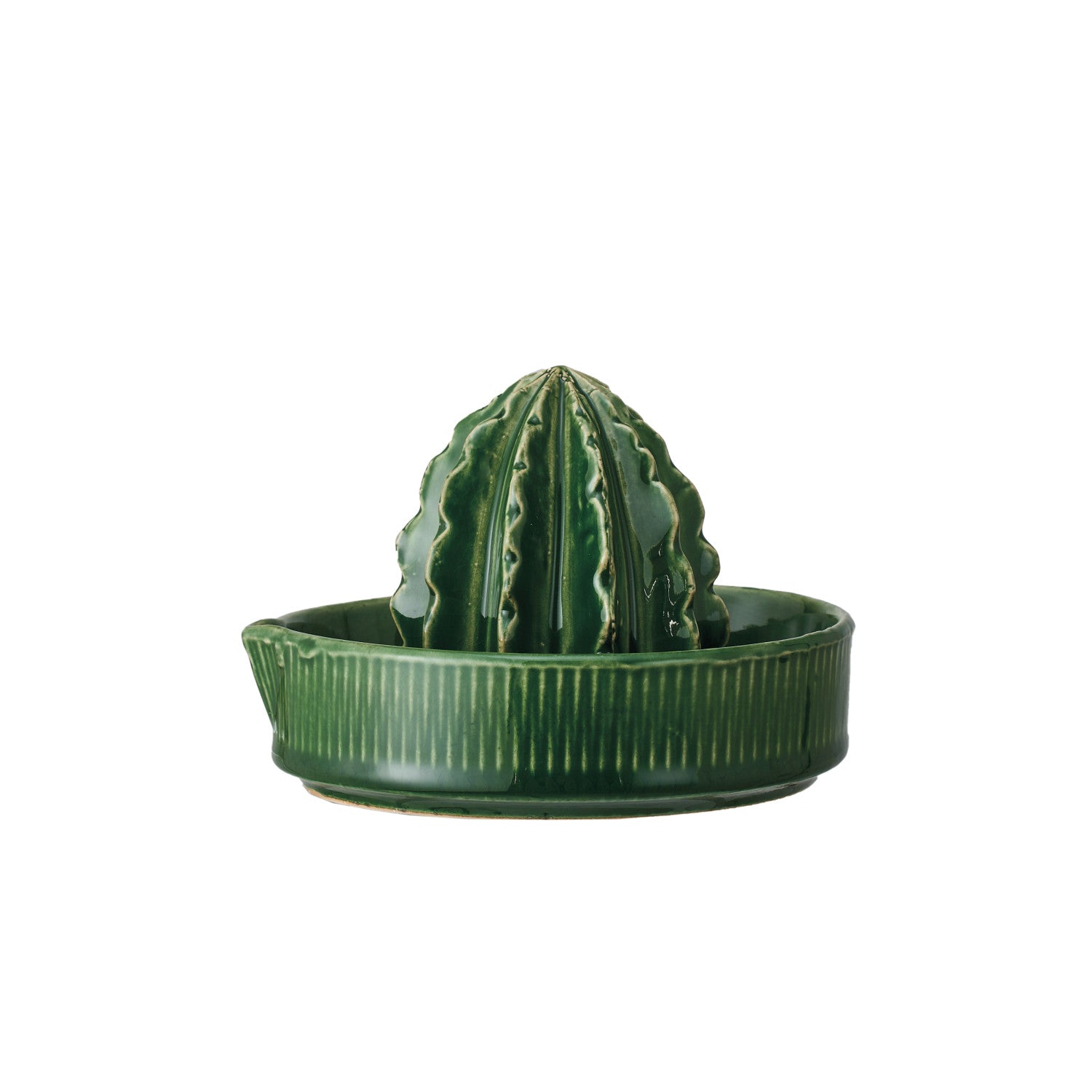 Cactus Stoneware Citrus Juicer