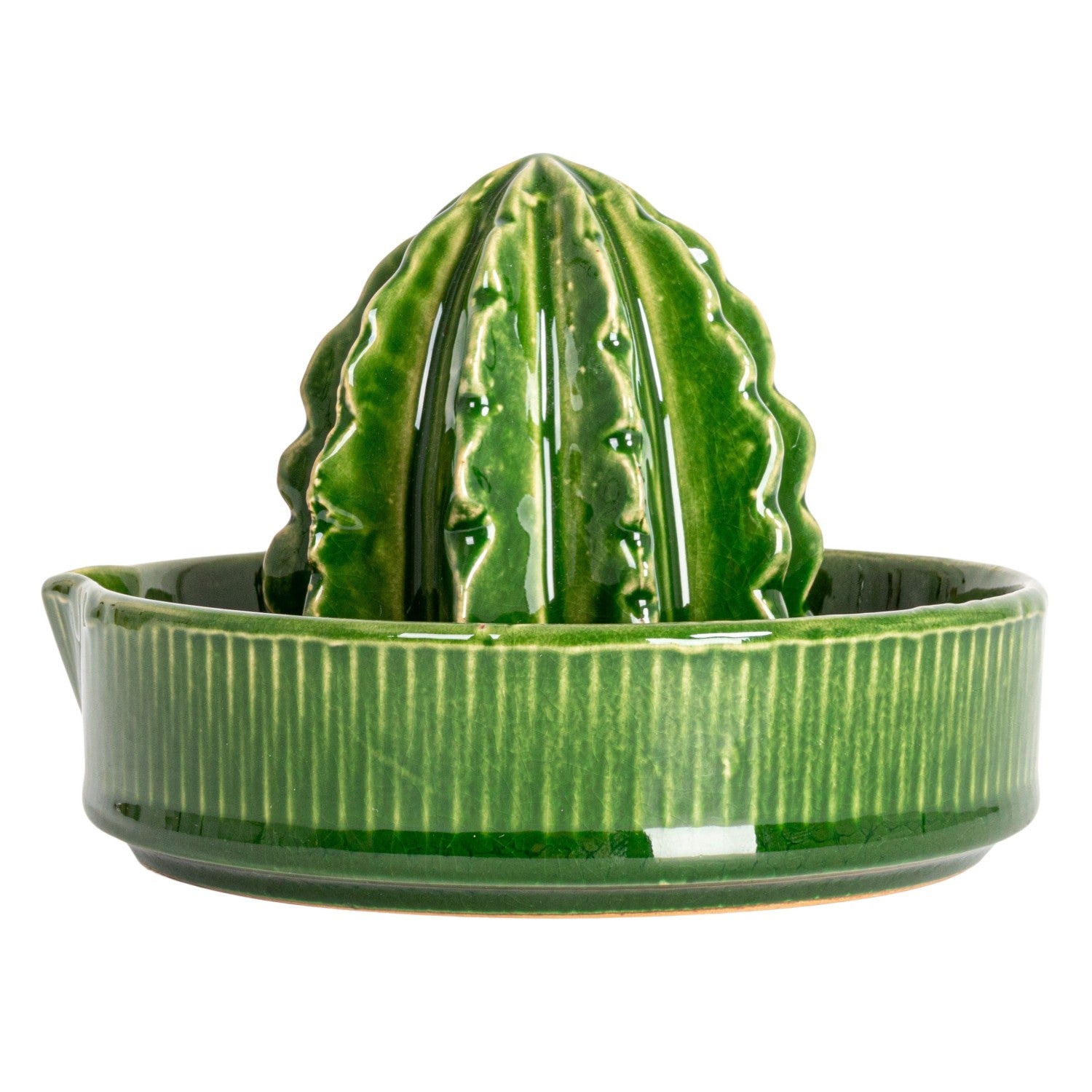 Cactus Stoneware Citrus Juicer