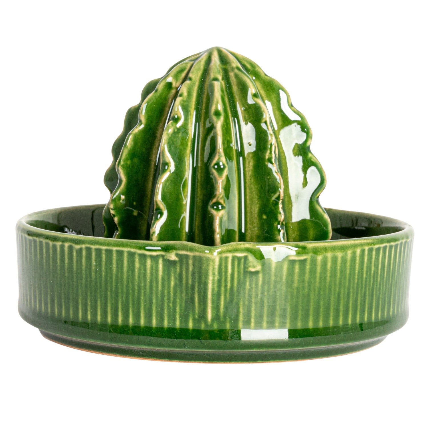 Cactus Stoneware Citrus Juicer