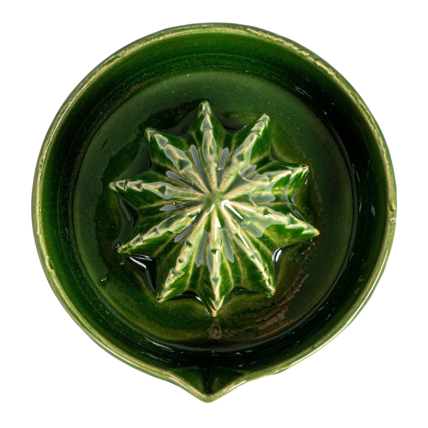 Cactus Stoneware Citrus Juicer