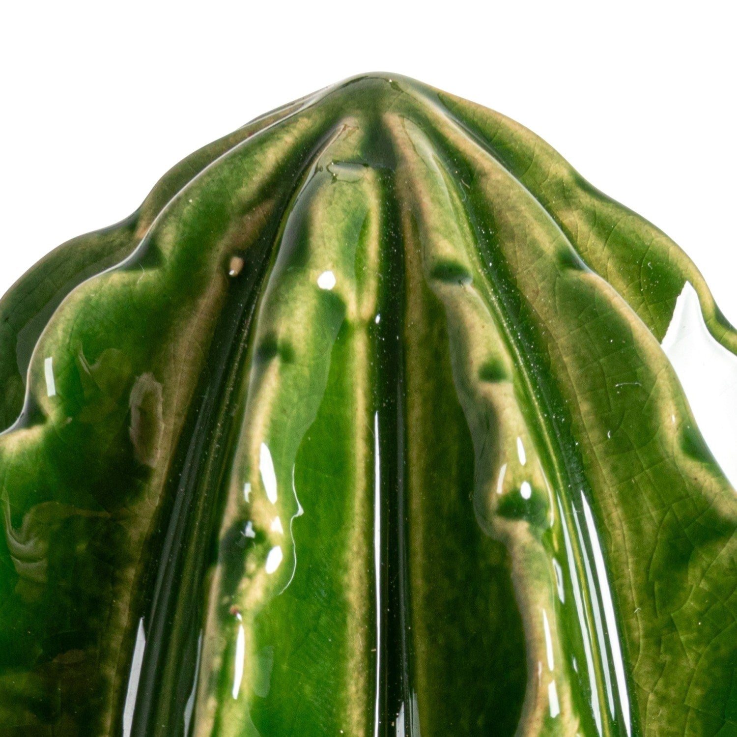 Cactus Stoneware Citrus Juicer